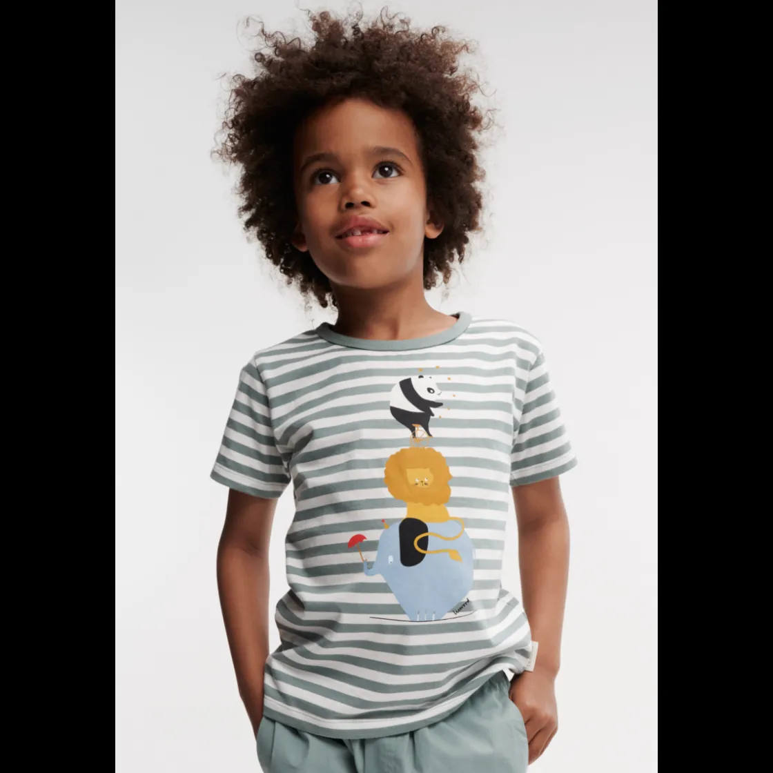 Liewood APIA T-Shirt mit Motiv Circus / Stripe peppermint / Creme de la creme Sale