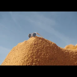 Liewood DARLA Mr. Bär Junior Sonnenbrille 4–10 J Rose transparent Online