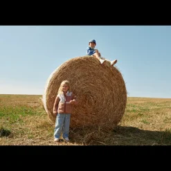 Liewood Nolan Fleecejacke Tuscany rose multi mix