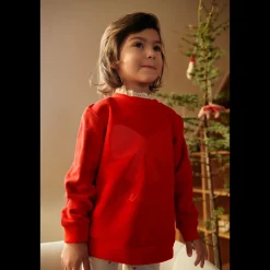 Liewood Rakel Sweatshirt mit Spitze Online